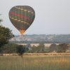 balloon-safaris