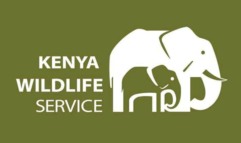 Kenya Wildlife Services