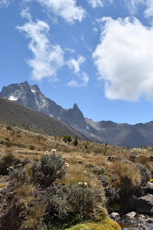 mt kenya fr