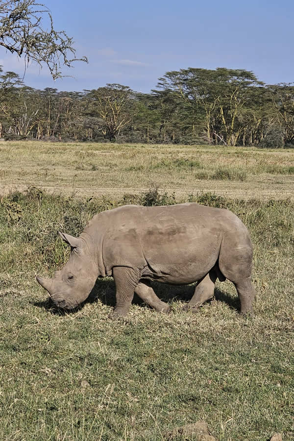 ol pejeta fr